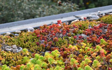 the cost of Broadplat green roof installation
