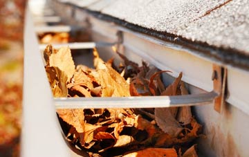 Broadplat gutter cleaning companies