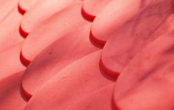 Broadplat plastic roof costs