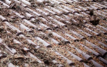 Broadplat roof cleaning companies