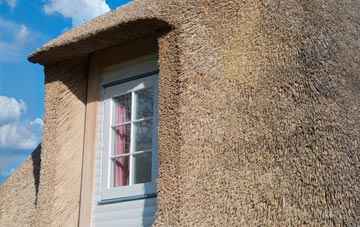 Broadplat thatch roof disadvantages
