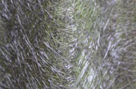 Broadplat fibreglass roof work